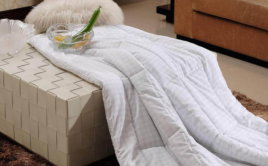 歐洲進口樱桃软件在线观看樱桃视频18岁禁止被子係列